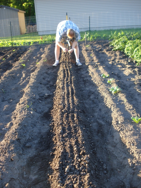 Erik planting onion sets in The Soul Patch, June 19, 2010.